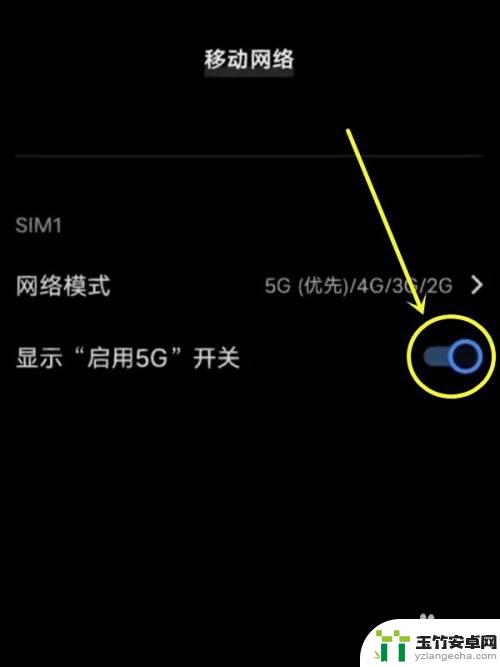 vivo的5g开关在哪里设置