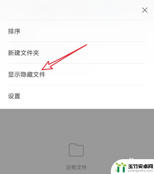 手机隐藏文找不出来怎么办