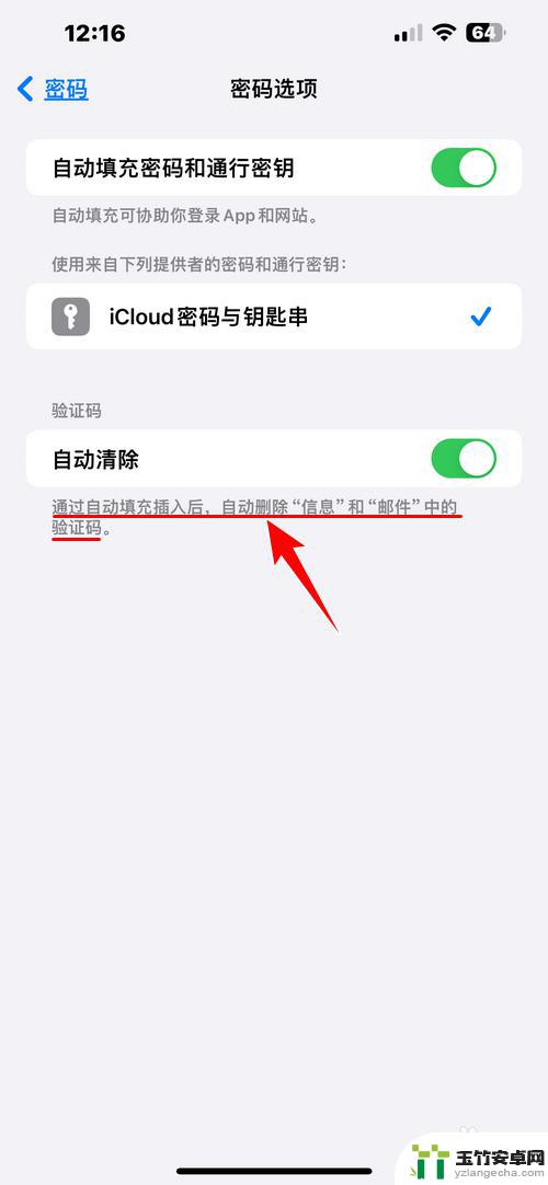 苹果手机验证码自动删除怎么设置