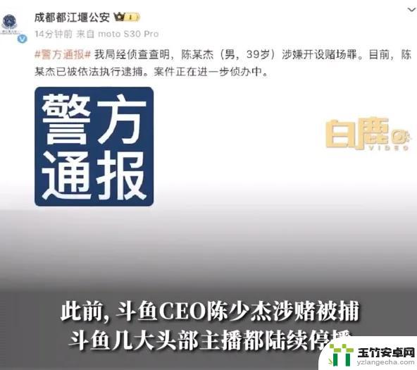 小团团暂停直播多日，高速服务区将失去团团最爱的存在？