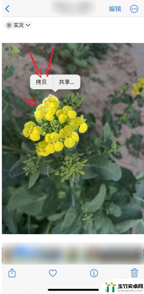 苹果手机照片抠图后怎么保存