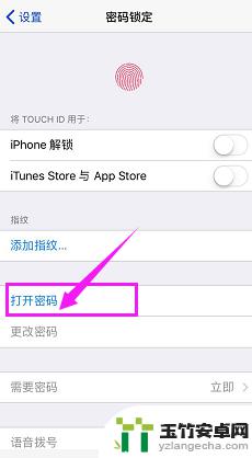 苹果手机屏幕密码在哪里设置