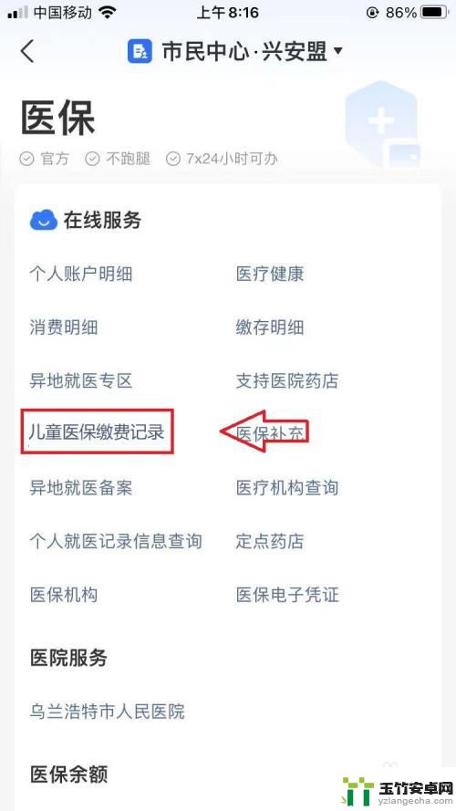 小孩子医保在哪里查询缴费记录
