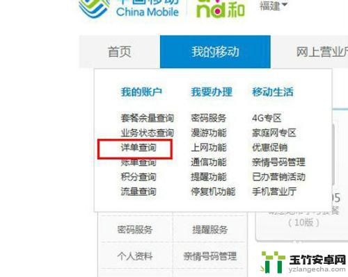 怎样查手机费用明细在哪里查