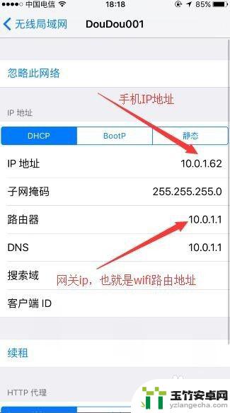 如何看苹果手机网络ip