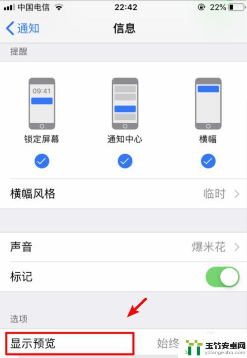 苹果手机短信提示不显示内容怎么设置