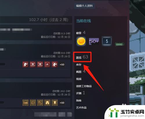 steam怎么显示玩过的游戏