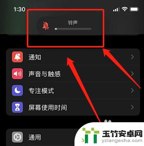 苹果手机快捷静音键在哪设置