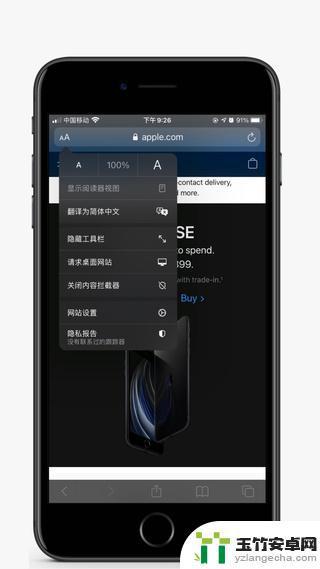 苹果手机网页翻译功能在哪