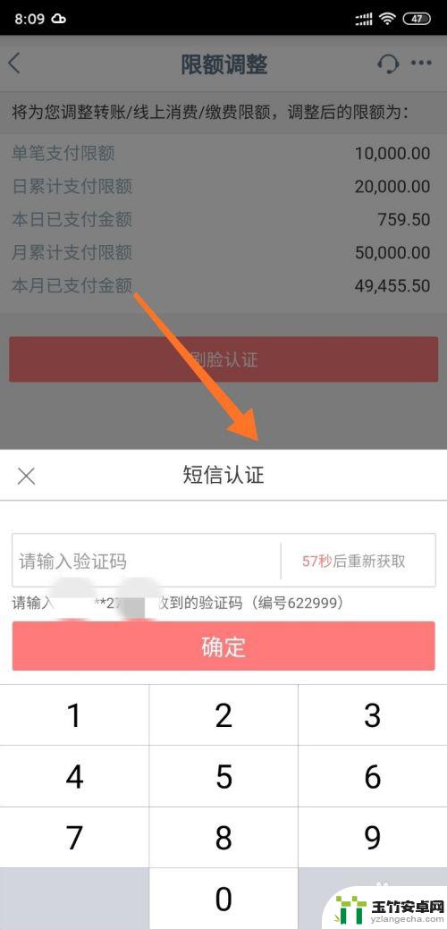 怎么在手机上设置支出限额