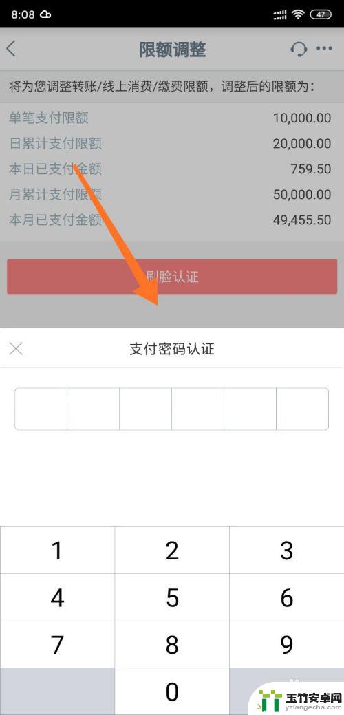 怎么在手机上设置支出限额