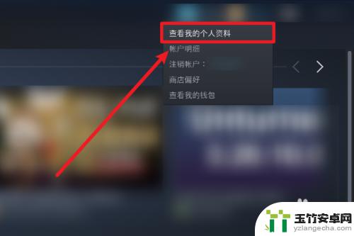 steam怎么设置不让好友看自己库