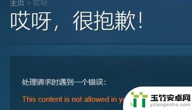 steam怎么没有成人设置