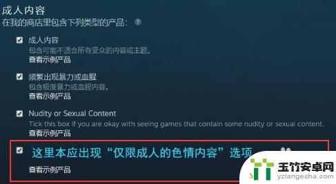 steam怎么没有成人设置