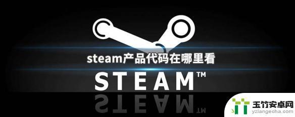 steam产品代码怎么查询