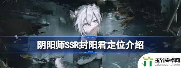 《阴阳师》SSR封阳君的角色定位是什么？