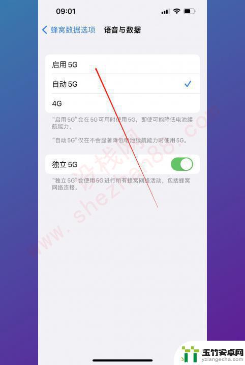 手机信号怎么变成5g