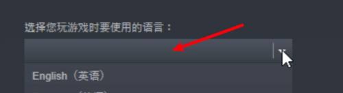 铁拳7steam怎么调中文