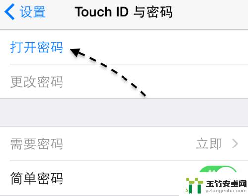 苹果手机6如何开启密码