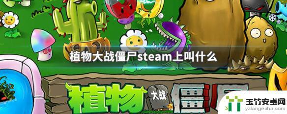 steam植物大战僵尸在哪