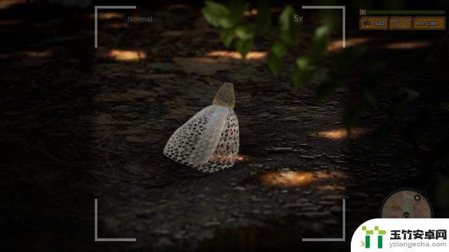 模拟游戏《Morels: The Hunt 2》Steam页面上线 明年发售