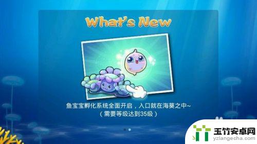 开心水族箱怎么看点赞量