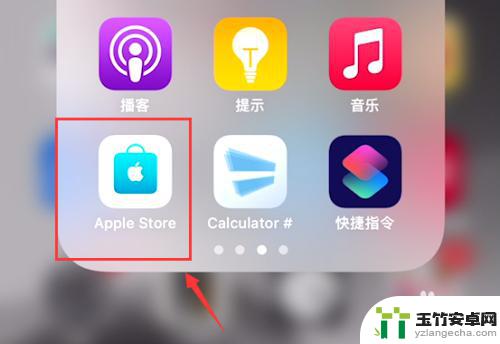 苹果买手机的app叫什么