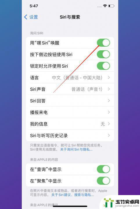 苹果手机怎样开启语音siri