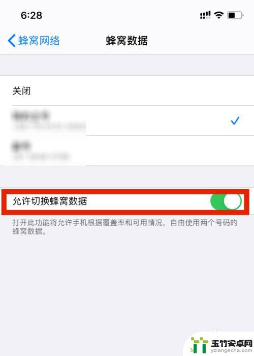苹果手机怎么关闭数据网络
