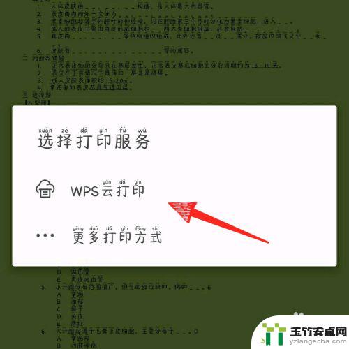 手机wps如何连接打印机