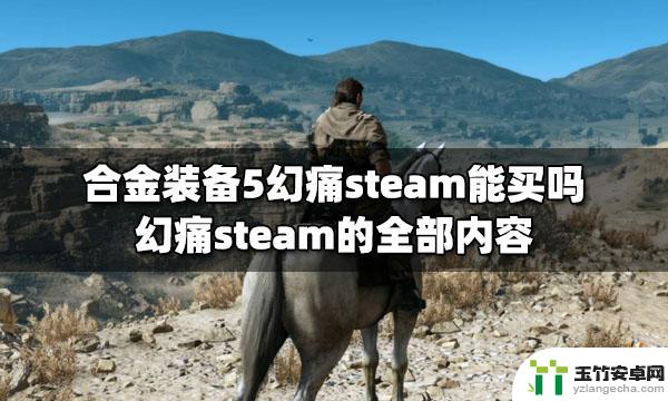 合金装备steam上有吗