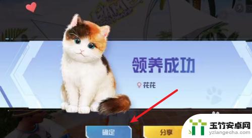 托卡世界怎么有小猫