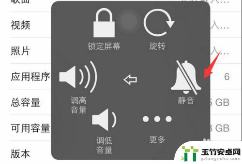 苹果手机突然一下没有声音了怎么回事